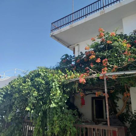 Ampelos Andros Batsi  Luaran gambar